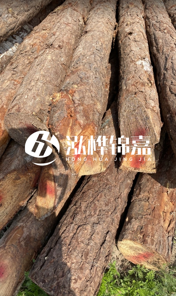 <strong>松木樁和杉木樁的用途區(qū)別？哪個更適合打樁用？</strong>