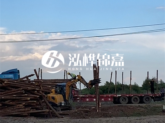 河北打樁木源頭廠家泓樺錦嘉 - 北方常用打樁木是什么？