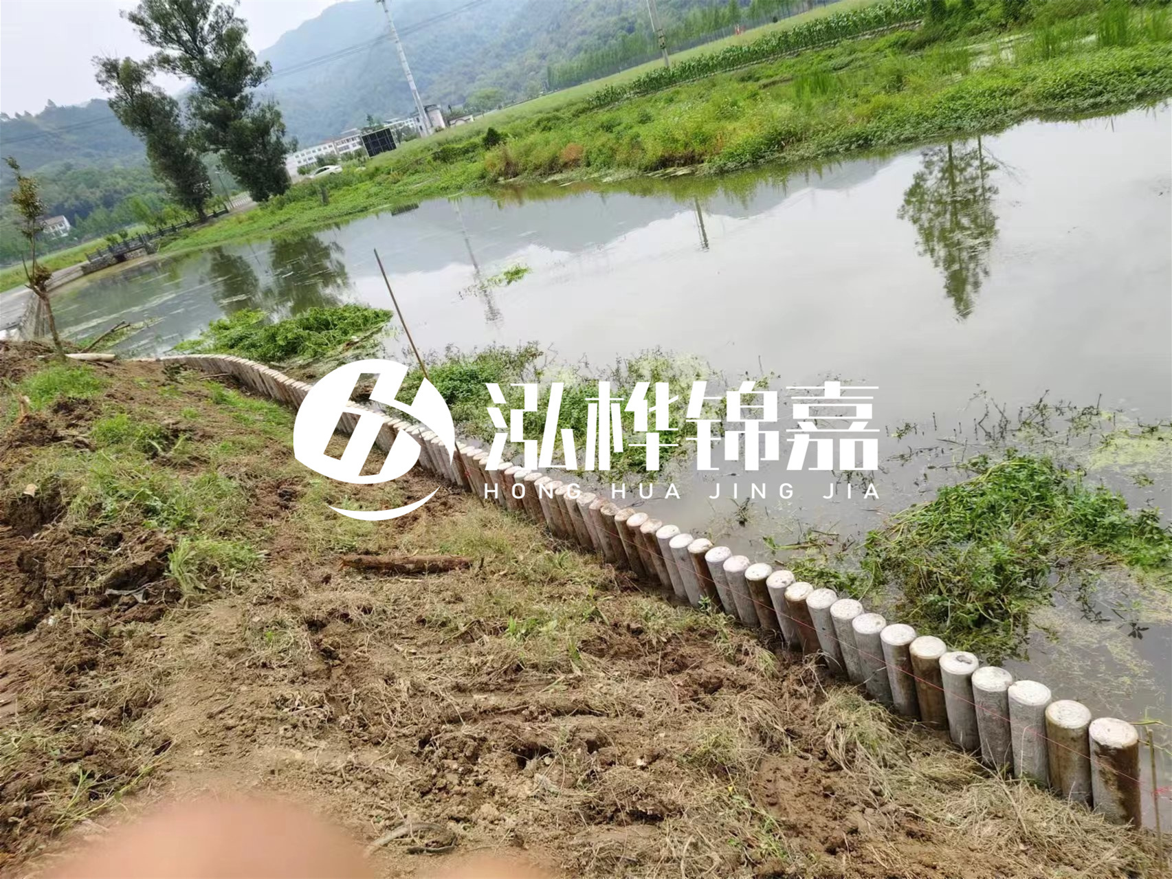 松木樁加固河道與水泥樁對(duì)比如何？哪一種更加適合您？
