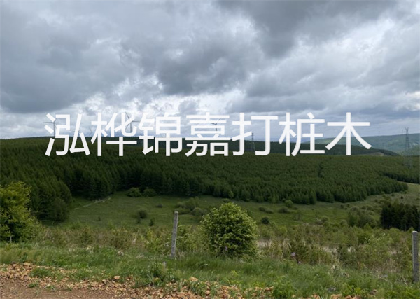 松木樁能重復施工么？