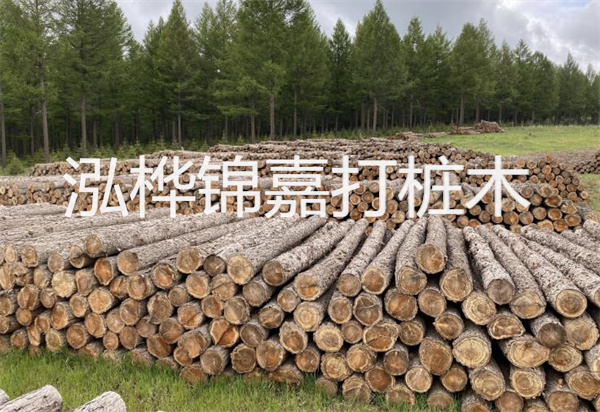 松木樁能施工嗎？探究視頻揭秘真相！